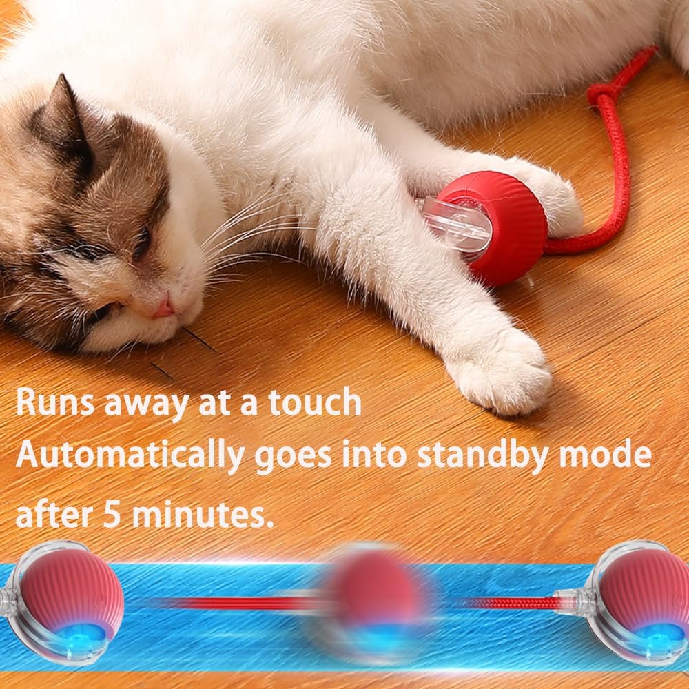 ZIBUYU Rolling Ball Interactive Cat Toy for Dogs and Cats with Tail Rope and USB Rechargeable Play | Smart Multi Speed Silicone Ball for Active Pets