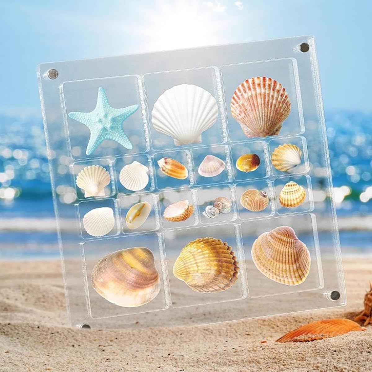 HASTHIP® Acrylic Seashell Display Box, 18 Grids Seashell Storage Box Decorative Box for Seashell Starfish Trinket, Small Craft Organizers Display Case for Bead, Nail, Jewelry, 5.6x5.6in