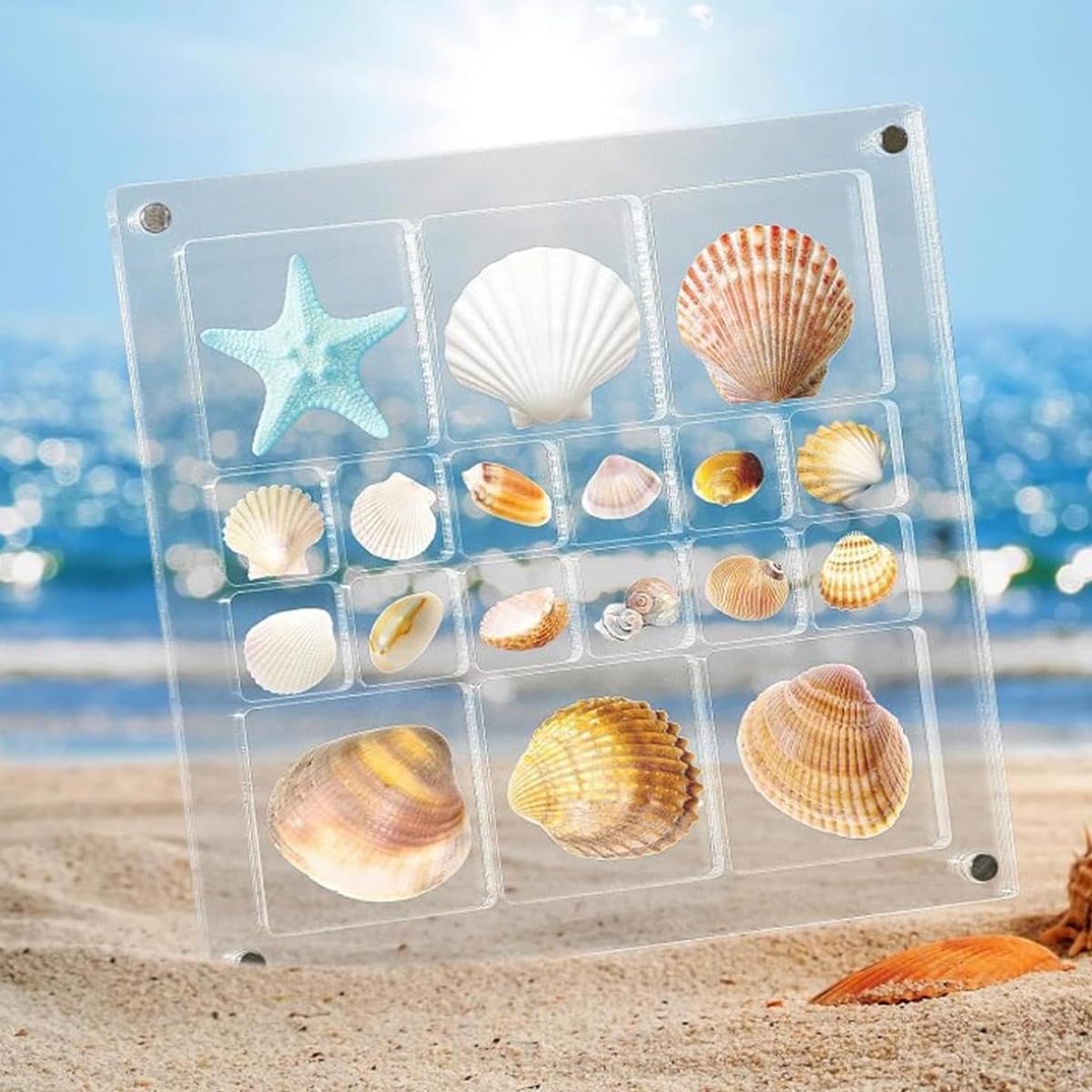 HASTHIP Acrylic Seashell Display Box for Shell Collection featuring 18 Grids 5.6x5.6in | Magnetic Closure Transparent Organizer