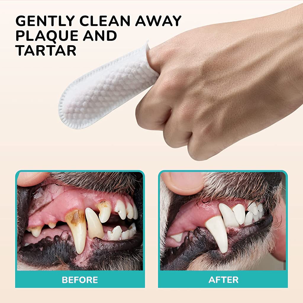 Qpets Pet Dental Wipes for Dogs and Cats with Finger-Sleeve Design 2 Pack 100 Count | Aloe Vera Formula