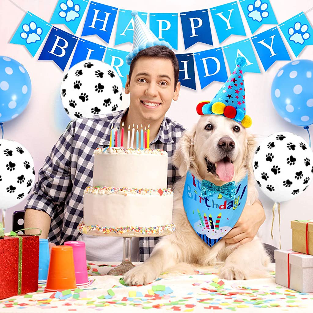ZIBUYU Dog Birthday Supplies for Pets with 10 Balloons and 5 m Ribbon | Blue Theme Set