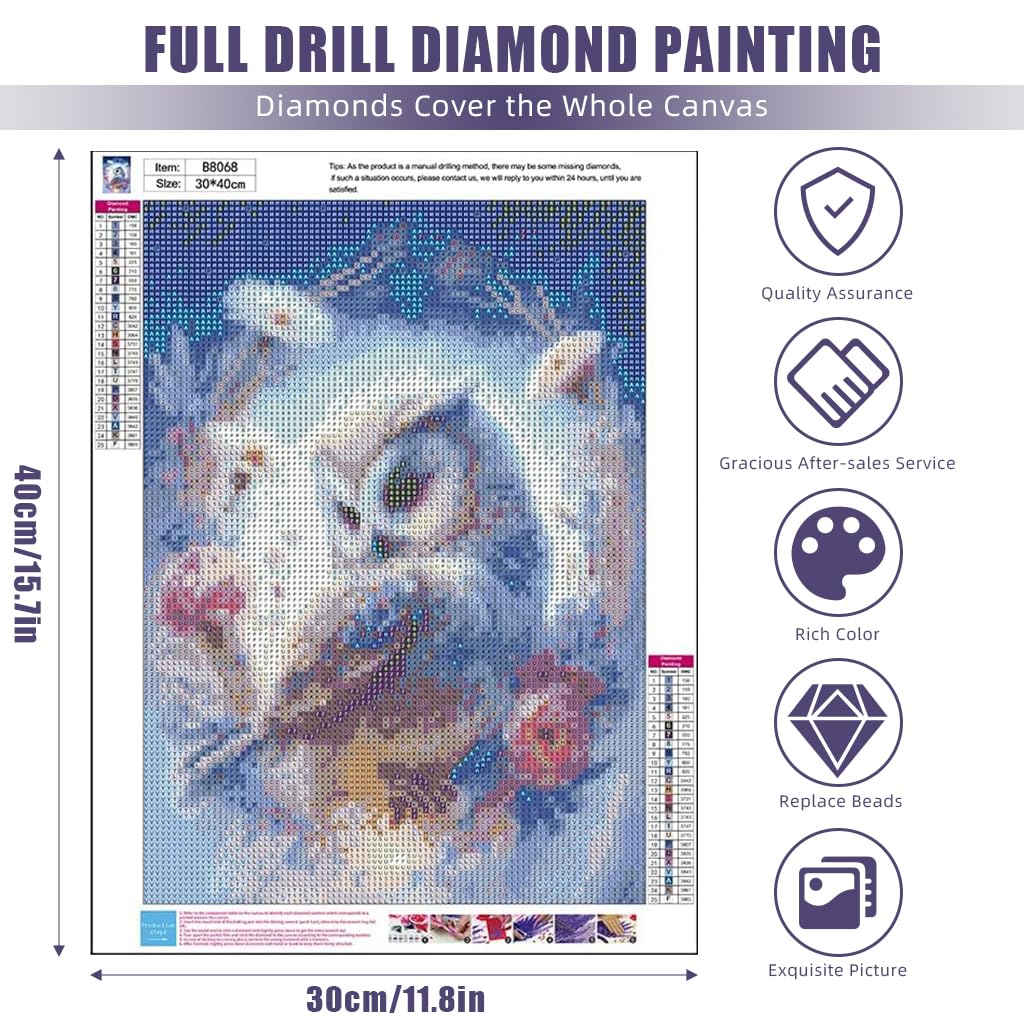 HASTHIP Diamond Painting Kit, 11.8x15.7inch Owl Diamond Painting, 5D Diamond Painting Kit for Adults & Kids, Suitable for Home Leisure and Wall Decoration, Gift for Kids and Adults
