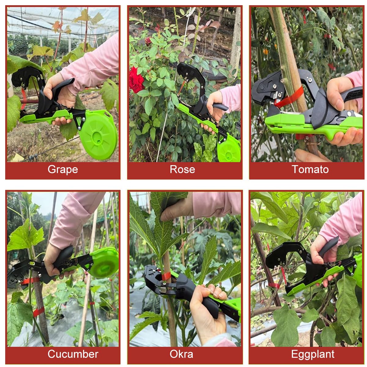 HASTHIP Plant Tying Tape for Garden and Greenhouse Use with 6 Rolls 98 ft Each | PE UV‑Resistant Material