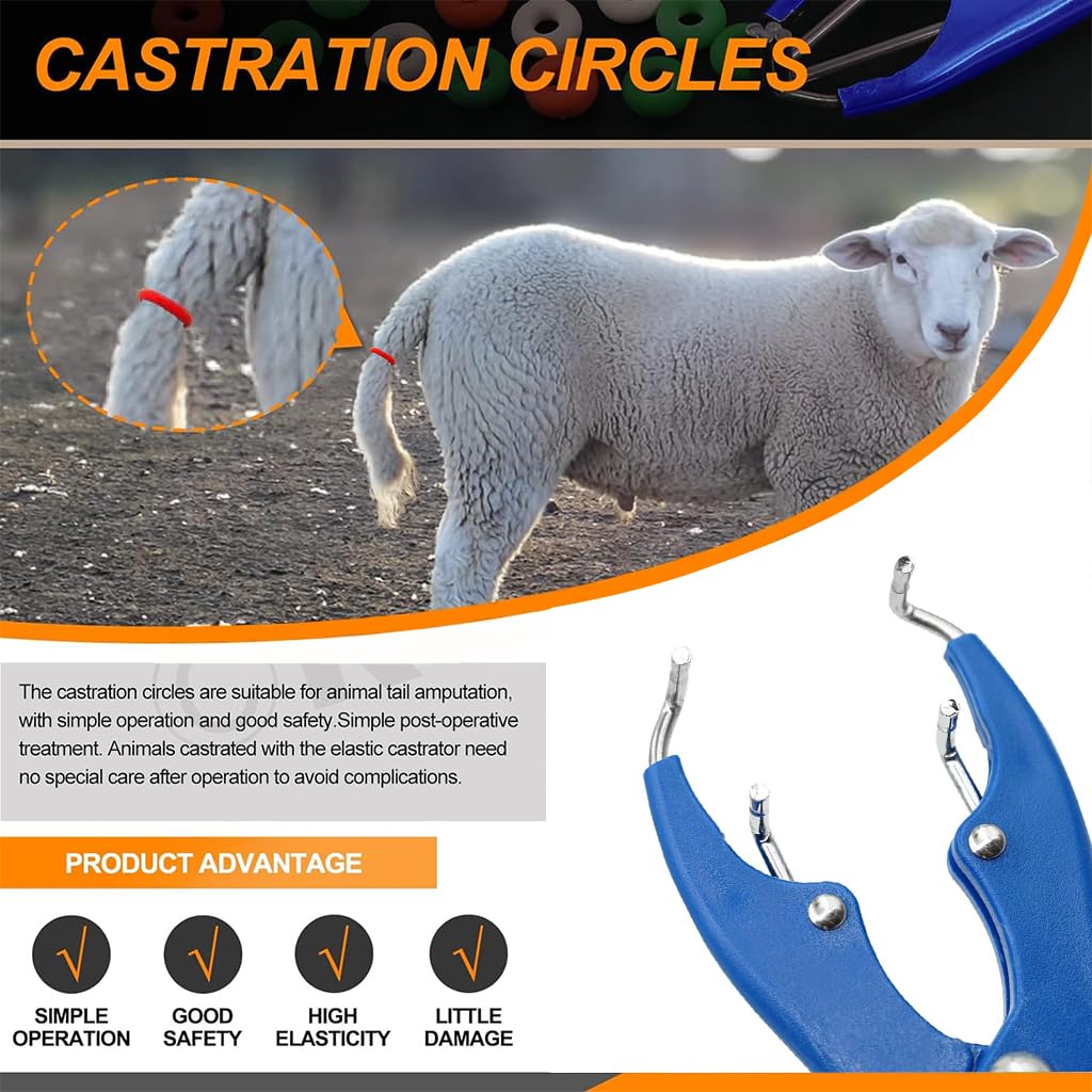HASTHIP Livestock Castration Bander Tool with 200 pcs Rings for Lambs and Piglets | Tail Cutting Pliers