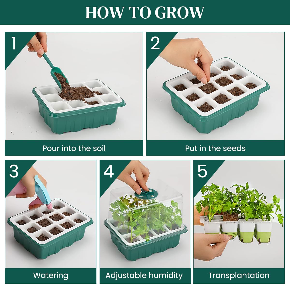 HASTHIP Seed Starter Tray for Germination with 12 Silicone Pots and Ventilation Lid | Includes Drip Tray and Seeding Tools