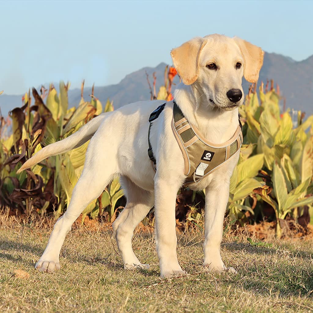 Qpets Dog Harness for Large Dogs with Dual Metal Buckles and Reflective Strips | Khaki XL 2 PCS