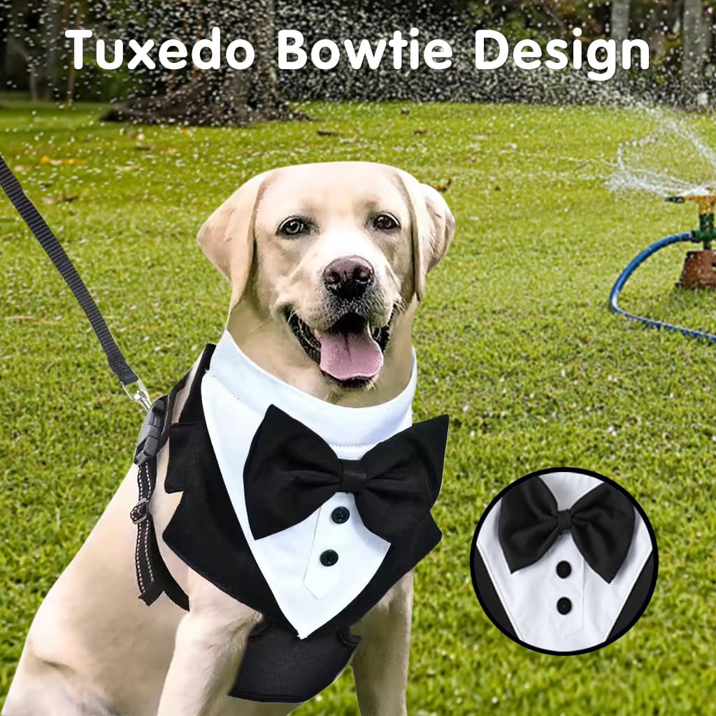 Qpets® Dog Tuxedo Harness, Fashionable Dog Tuxedo Harness Set with Traction Rope and Chest Harness, Dog Vest Pet Suit Holiday Dress Puppy Kitten Wearing (L)