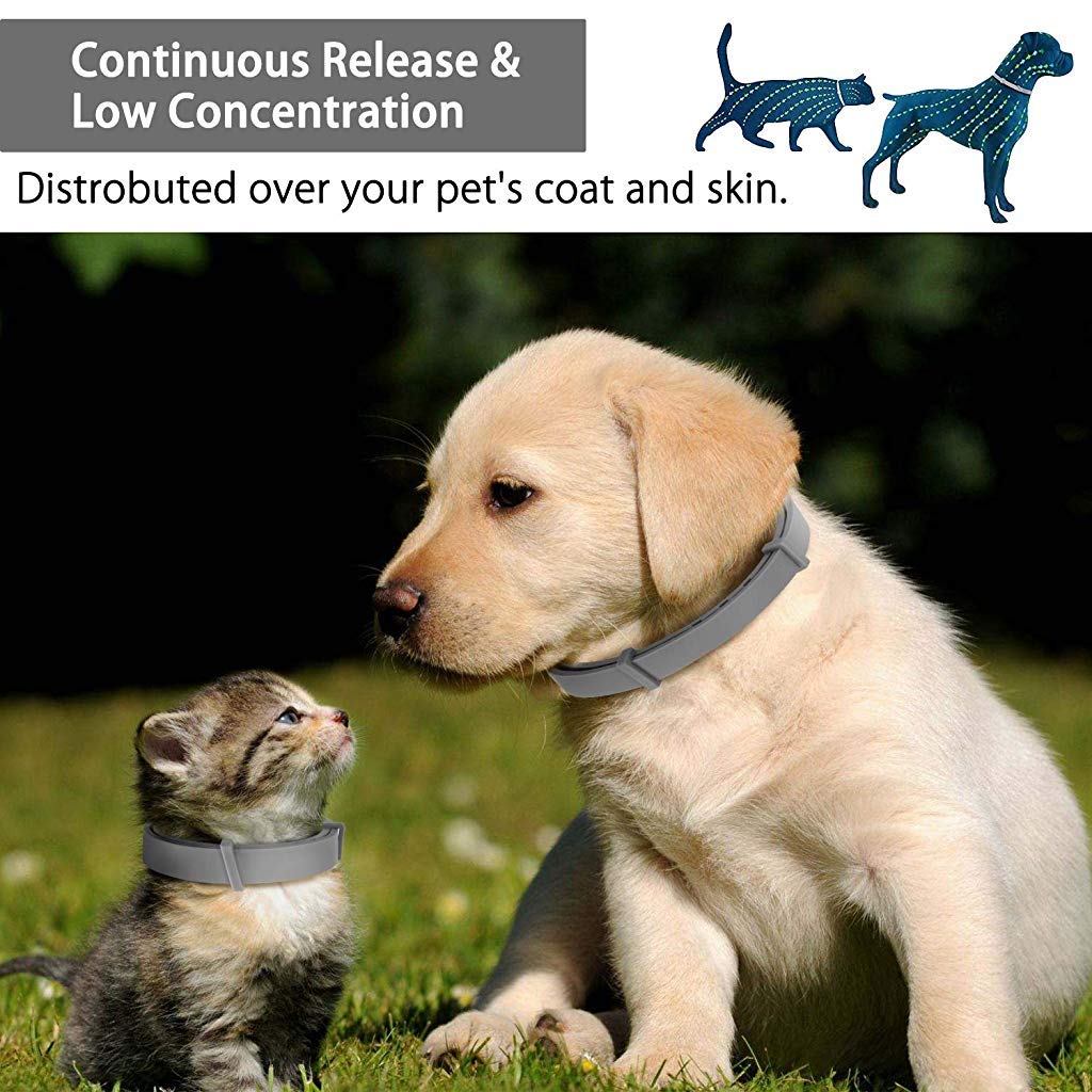 Qpets  Flea and Tick Collar - 8 Month Protection Adjustable Waterproof Collar for Dog Puppy Kitten Cats, Natural & Safe Efficiently Repell Locust Lice of Pets (for Dog and Cat) (Grey)