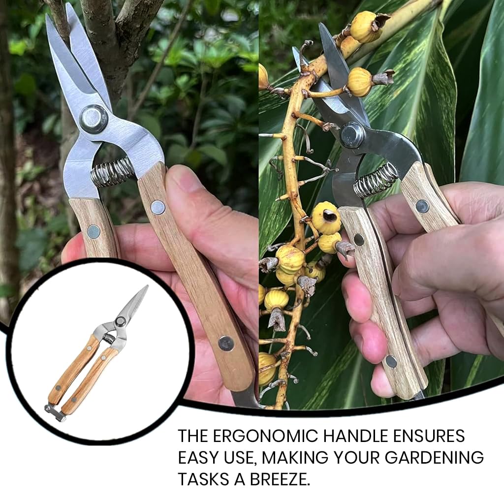 HASTHIP Gardening Scissor Set for Plant Trimming with Safe Lock Clasp & Wooden Handles