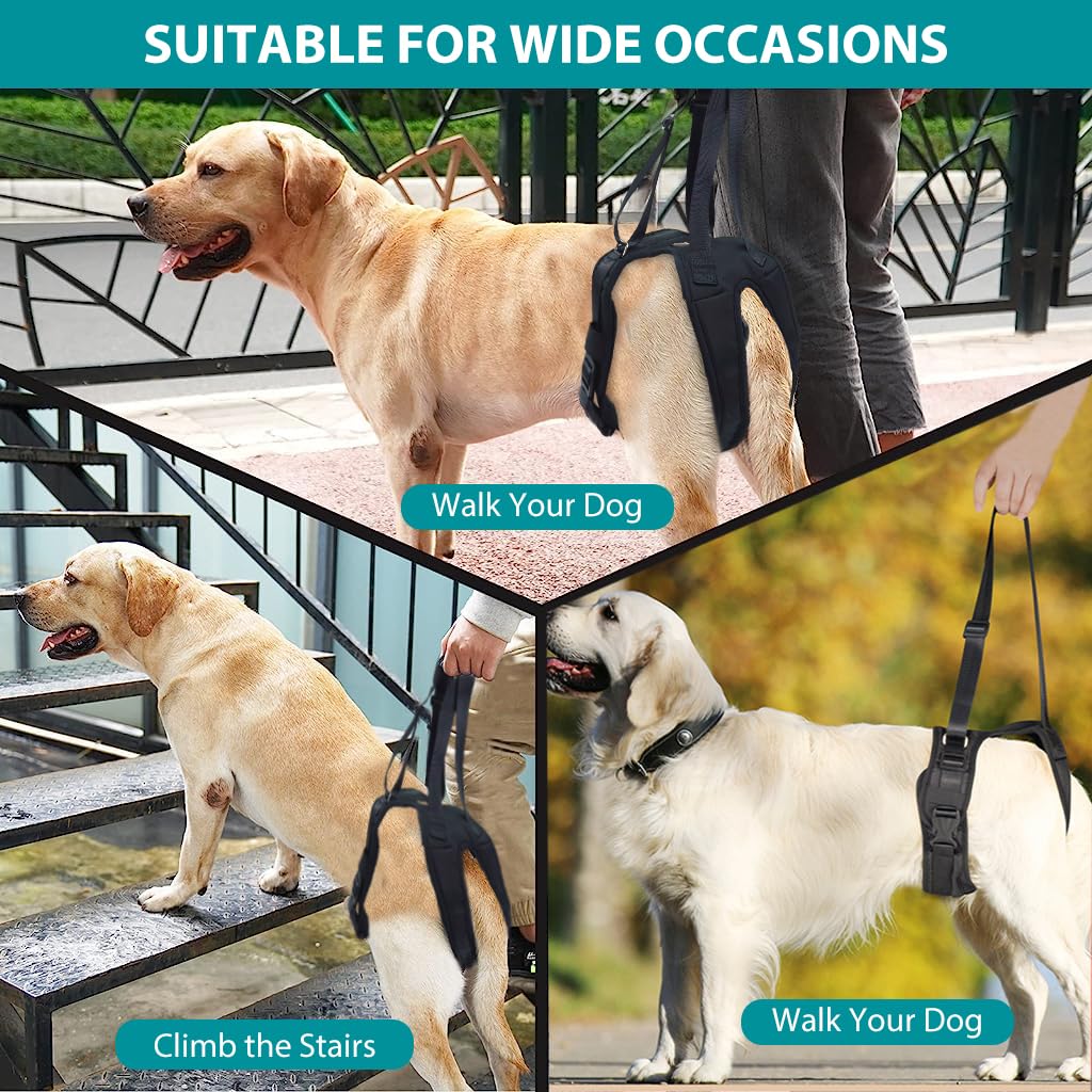 Qpets Dog Lift Harness for Rear Legs with Two Adjustable Lifting Straps 45–56cm Fit | Walking Support for Aging and Injured Dogs