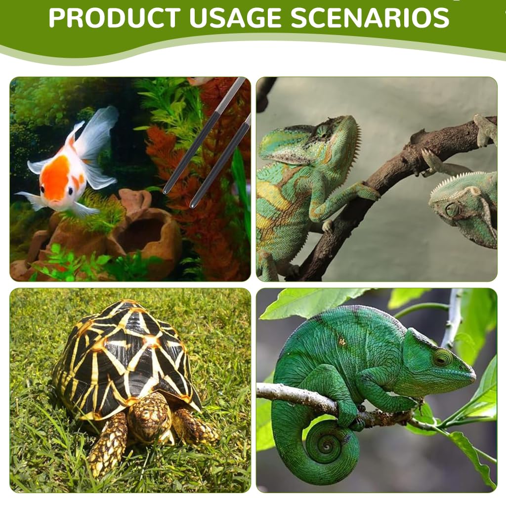 Qpets Feeding Tongs for Reptiles and Aquarium with 27cm Reach and Straight & Curved Tips | Stainless Steel with Rubber Sleeves