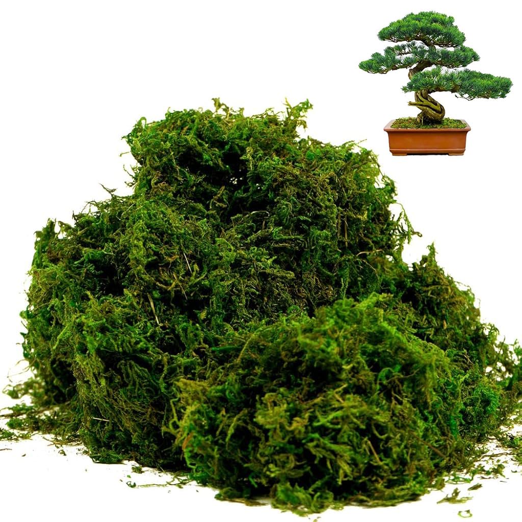 HASTHIP® Artificial Moss, Fake Moss for Crafts, Decorative Moss for Table Centerpieces Fairy Garden Wedding Party Decor, Faux Moss for Potted Plants