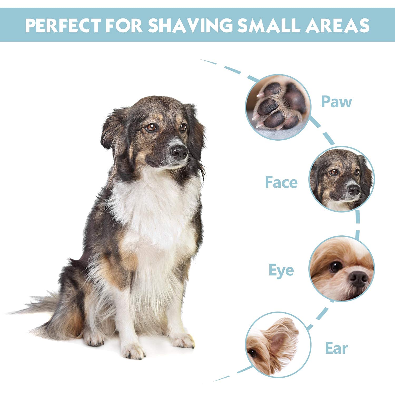 HASTHIP Dog Paw Hair Trimmer for Grooming with 2 Speed Low Noise Motor & Safe Ceramic Blade