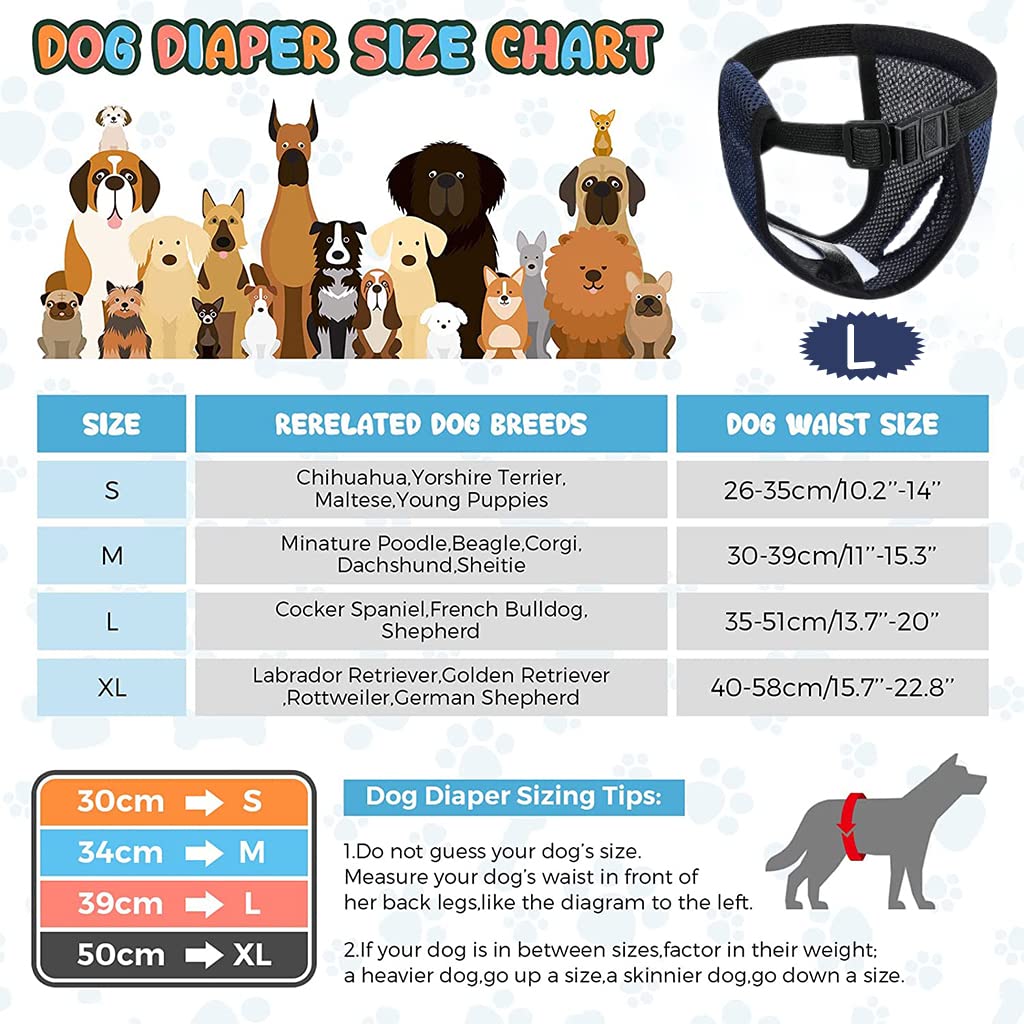 Qpets Dog Diapers Female for Puppy Use with 6 Absorption Cotton Pads and Breathable Mesh | 3PCS L 15.7–19.2 in Waist