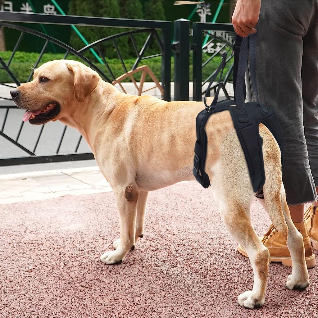 Qpets Dog Lift Harness for Rear Legs with Two Adjustable Lifting Straps 45–56cm Fit | Walking Support for Aging and Injured Dogs
