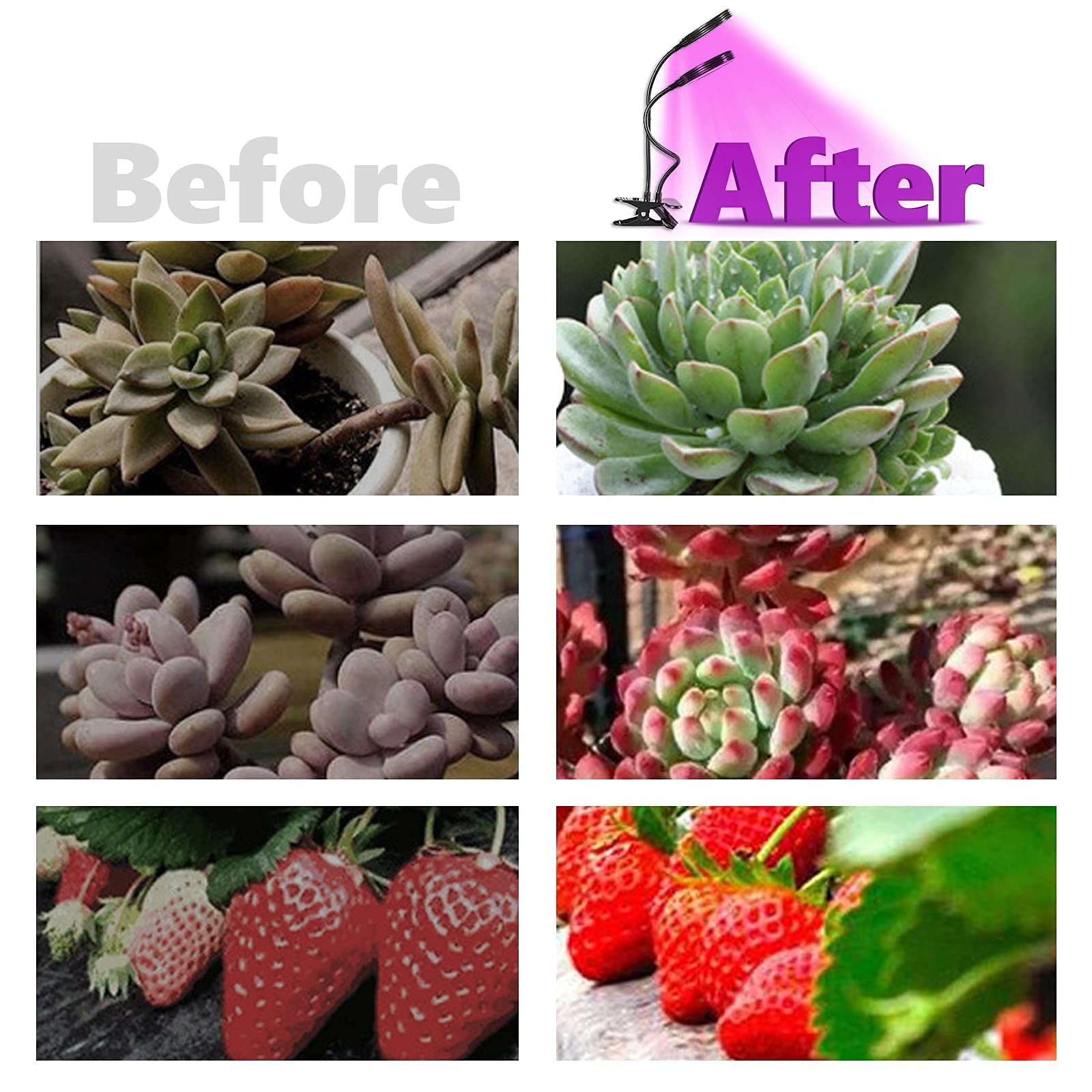 HASTHIP Grow Light for Indoor Plants with 156 LED 2 Heads and Flexible Lamp Neck | USB Plug