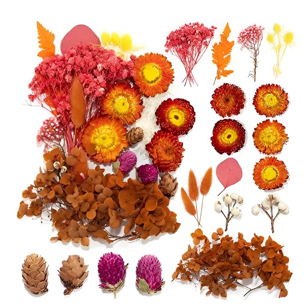 Supvox DIY Resin Art Decor Natural Dried Flower Set for Resin Art Scented Candle Decor Photo Frame Ornament Room Decoration(Orange)