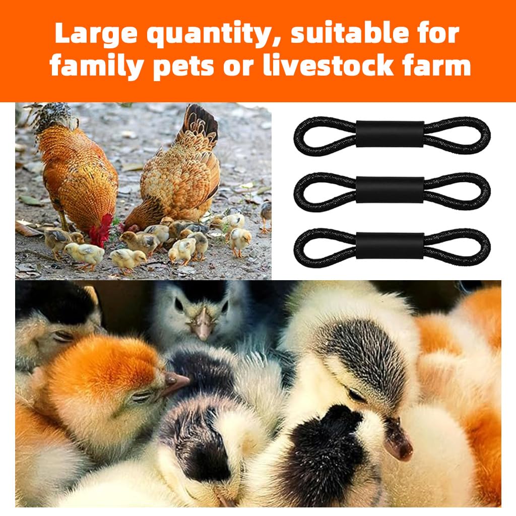 ZIBUYU Chicken Leg Loops for Chick Splay Leg Correction featuring Figure 8 Design | 100pcs