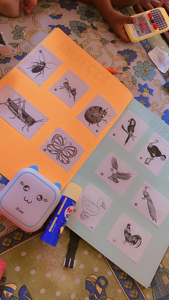 Zeitel® Portable Thermal Mini Printer for Students Home Use Bluetooth Mobile Android iOS Sticker Question Bank Flashcards Journal Photos Notes Label 3 PCS