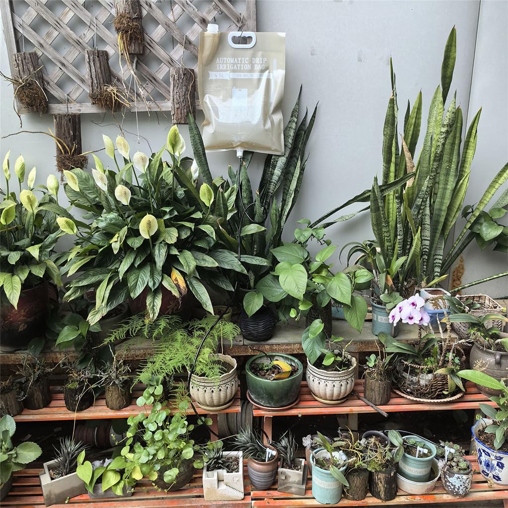 HASTHIP Self Watering Kit for Planters and Flower Beds with 6.5L Bag and 33 ft Pipe | DIY Slow Irrigation System