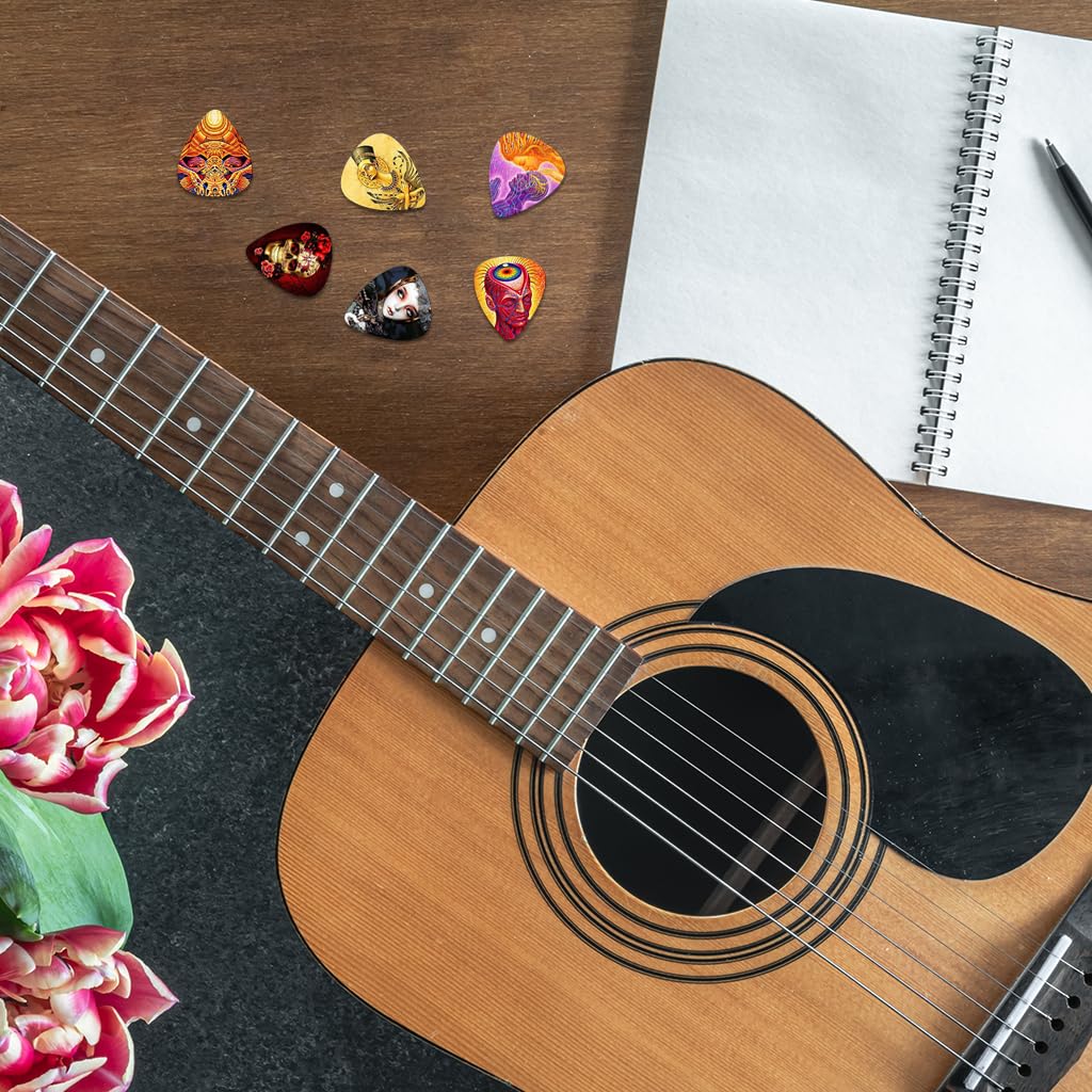 ZIBUYU Guitar Picks for Acoustic Electric and Bass with 12 Rock Designs PVC Set 0.46–1mm