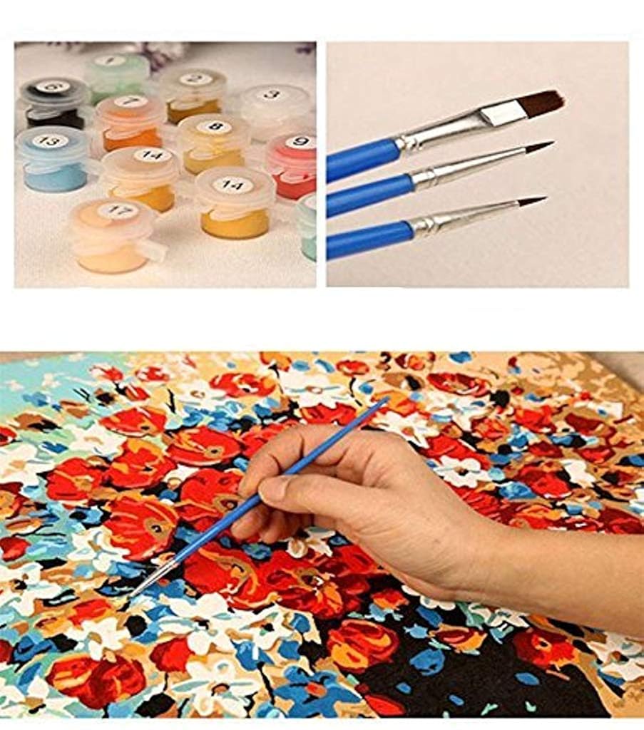 HASTHIP® DIY Oil Painting Paint by Numbers Kits Kit for Adults Figures with Brushes Decoration Room Multicolor 16 x 20 Inch Plastic 3 PCS
