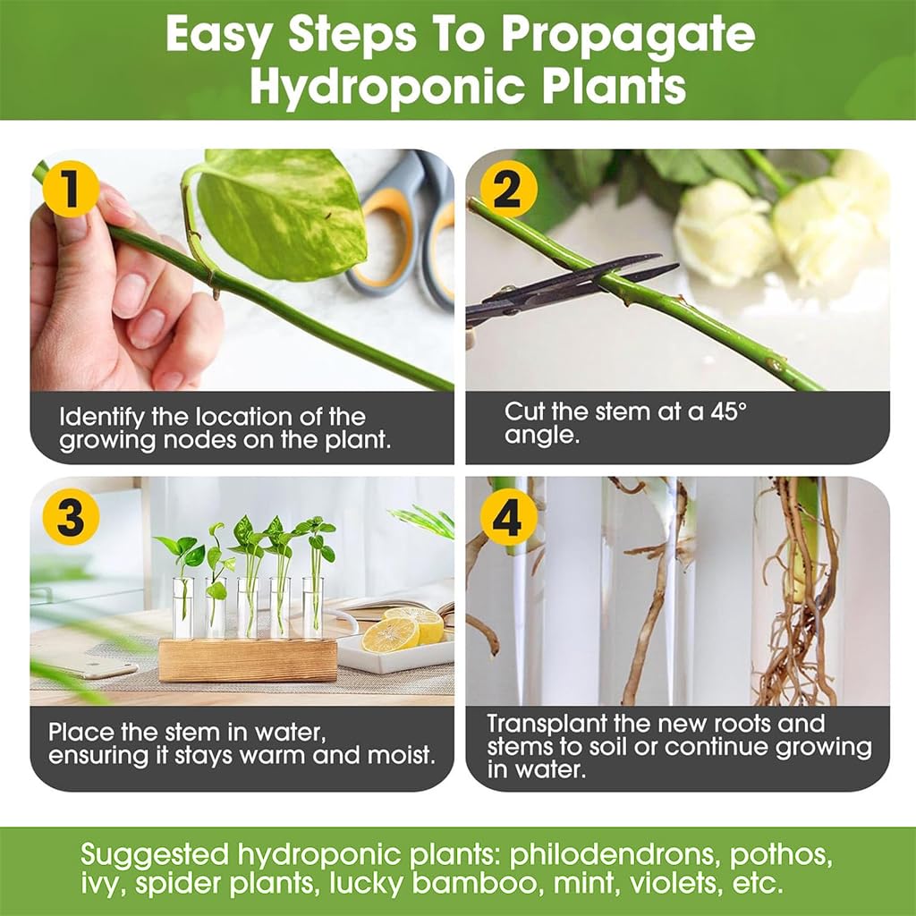 HASTHIP Glass Hydroponic Planters for Indoor Decor with Wooden Stand & 6 Tubes | Ideal Gift