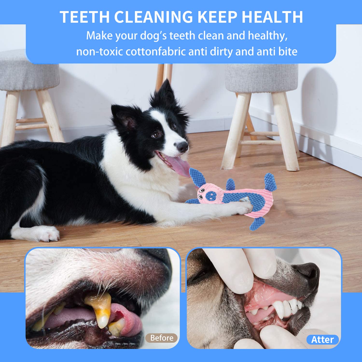 Qpets Dog Toys for Small and Medium Dogs with Squeaky Sound and Soft Plush Piggy Design | Chew Play and Teeth Cleaning