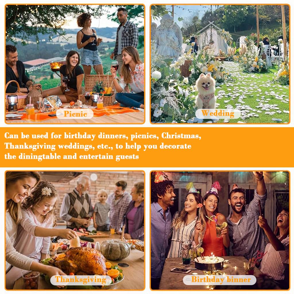 HASTHIP Clear Cracker Serving Tray 2 Pcs Set for Snacks and Appetizers | Transparent Design