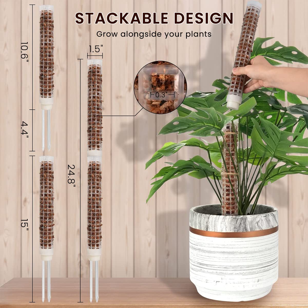 HASTHIP® 2pcs 25cm Moss Stick for Plants with 5 Lables and 1 Roll Velcro, Plastic Plant Stakes and Supports for Money Plant, Climbing Indoor Plants