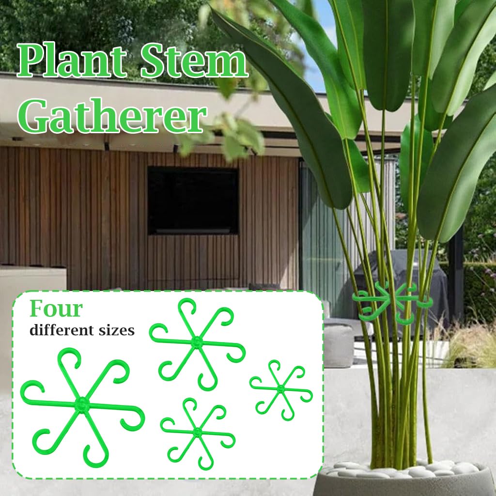 HASTHIP Plant Stem Supports for Climbing Plants featuring 6-Claw Design | 4 Pack Plastic