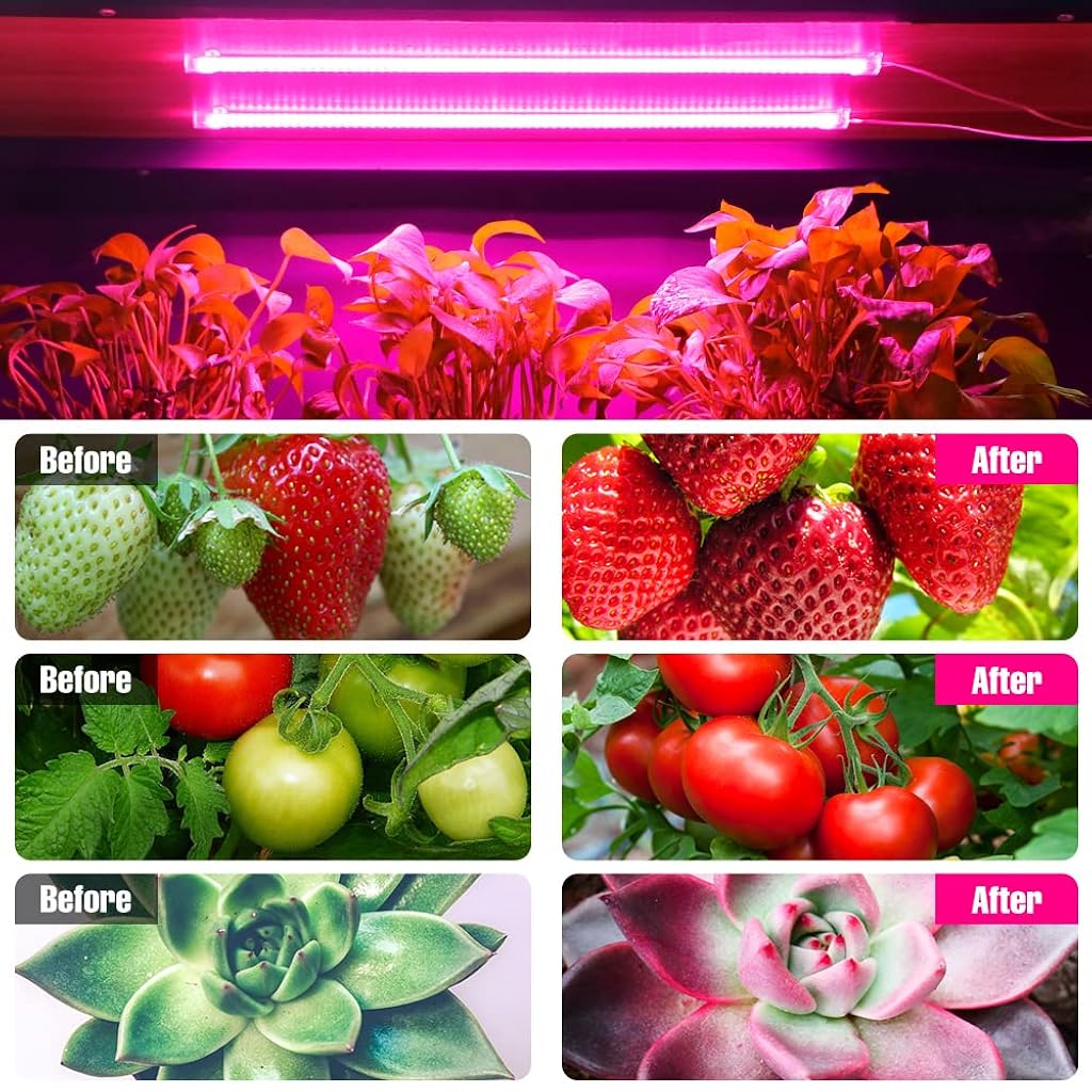 Qpets® LED Grow Lights Bars for Indoor Plants, Full Spectrum Strips Auto ON/Off, 8/12/16H Timer, 5 Dimmable Levels High Output USB 5V Grow Lamp Hydroponics Seedling Flower Starting(Pink Purple)