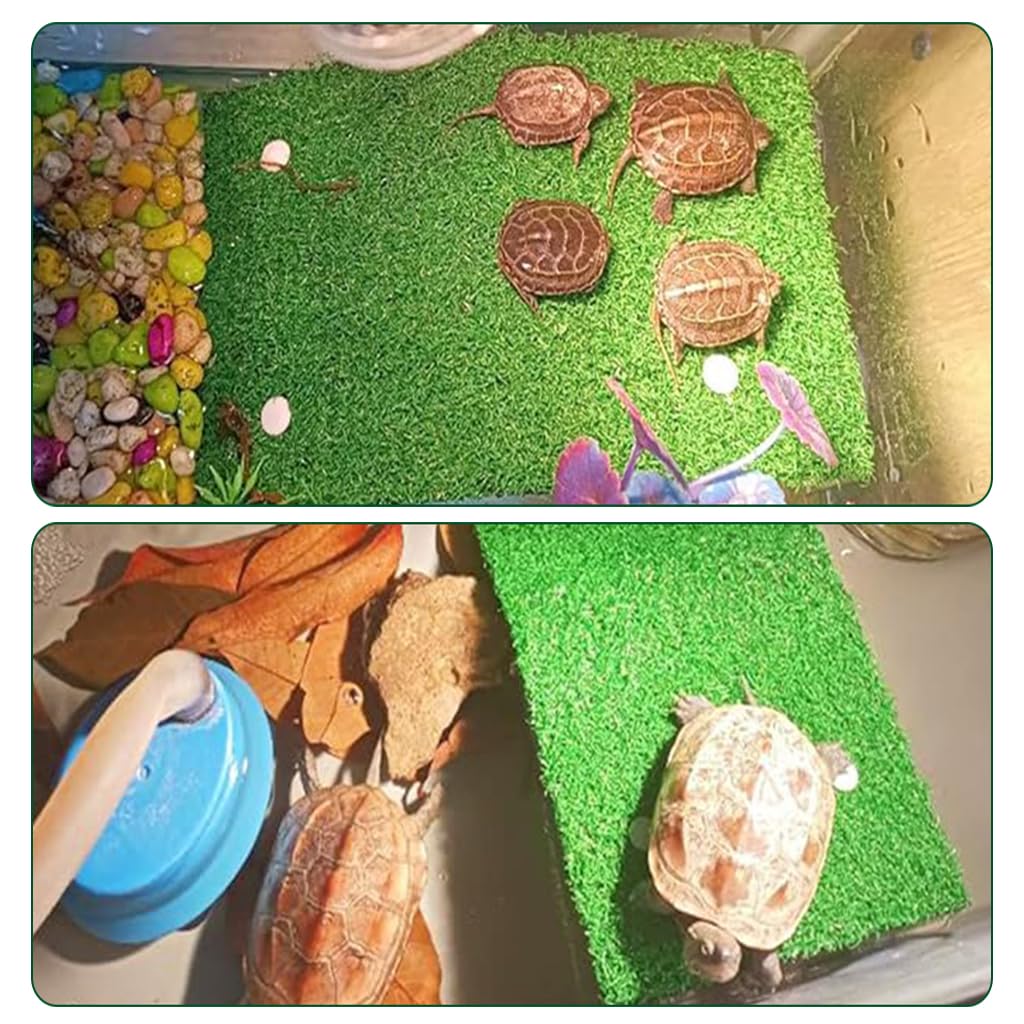 Qpets Turtle Basking Platform for Aquatic and Terrestrial Tanks with Suction Cups and Removable Turf | Wall Mounted Design for Comfortable Sunbathing