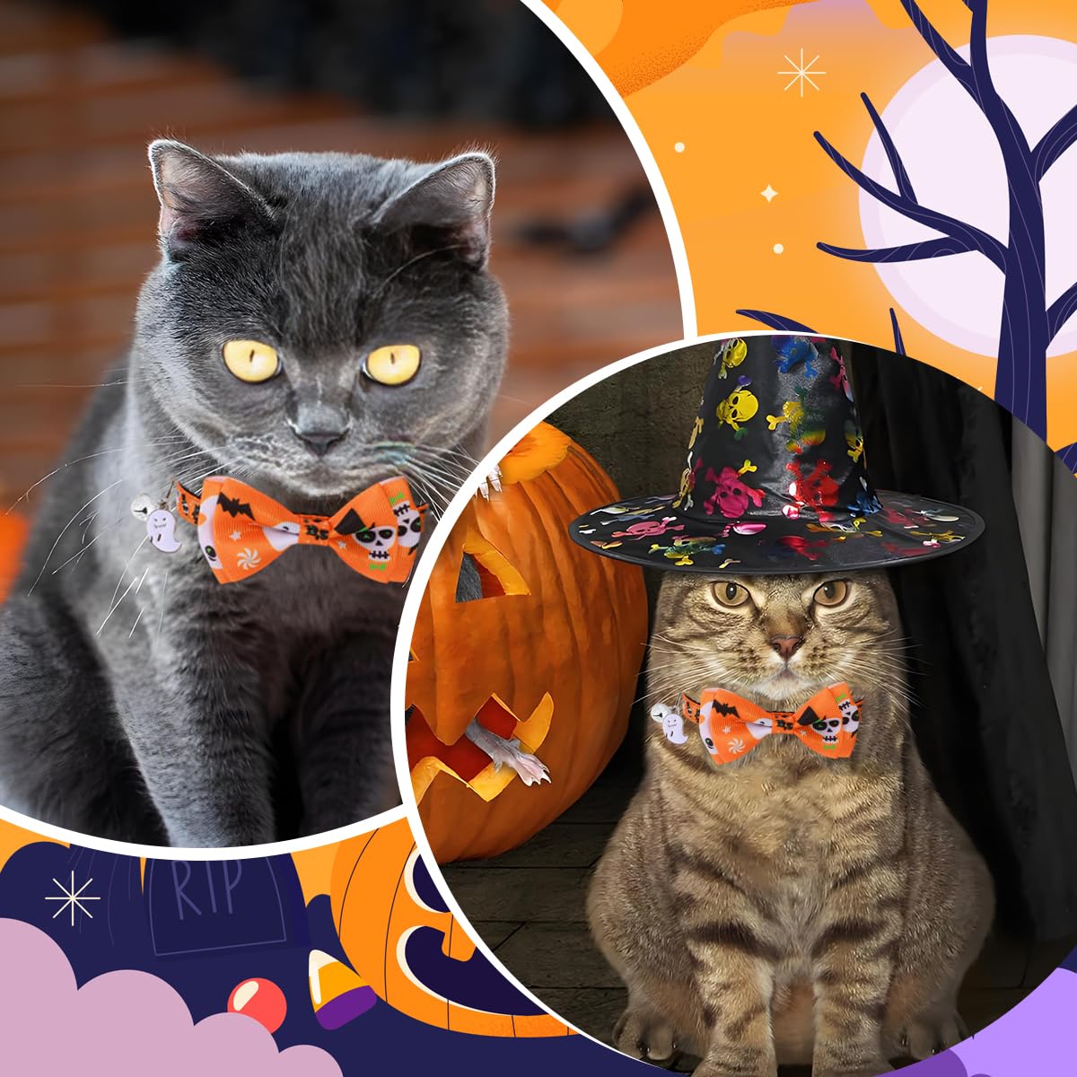 Qpets Halloween Cat Collar with Bell featuring Orange Skeleton Prints and Quick Release Buckle