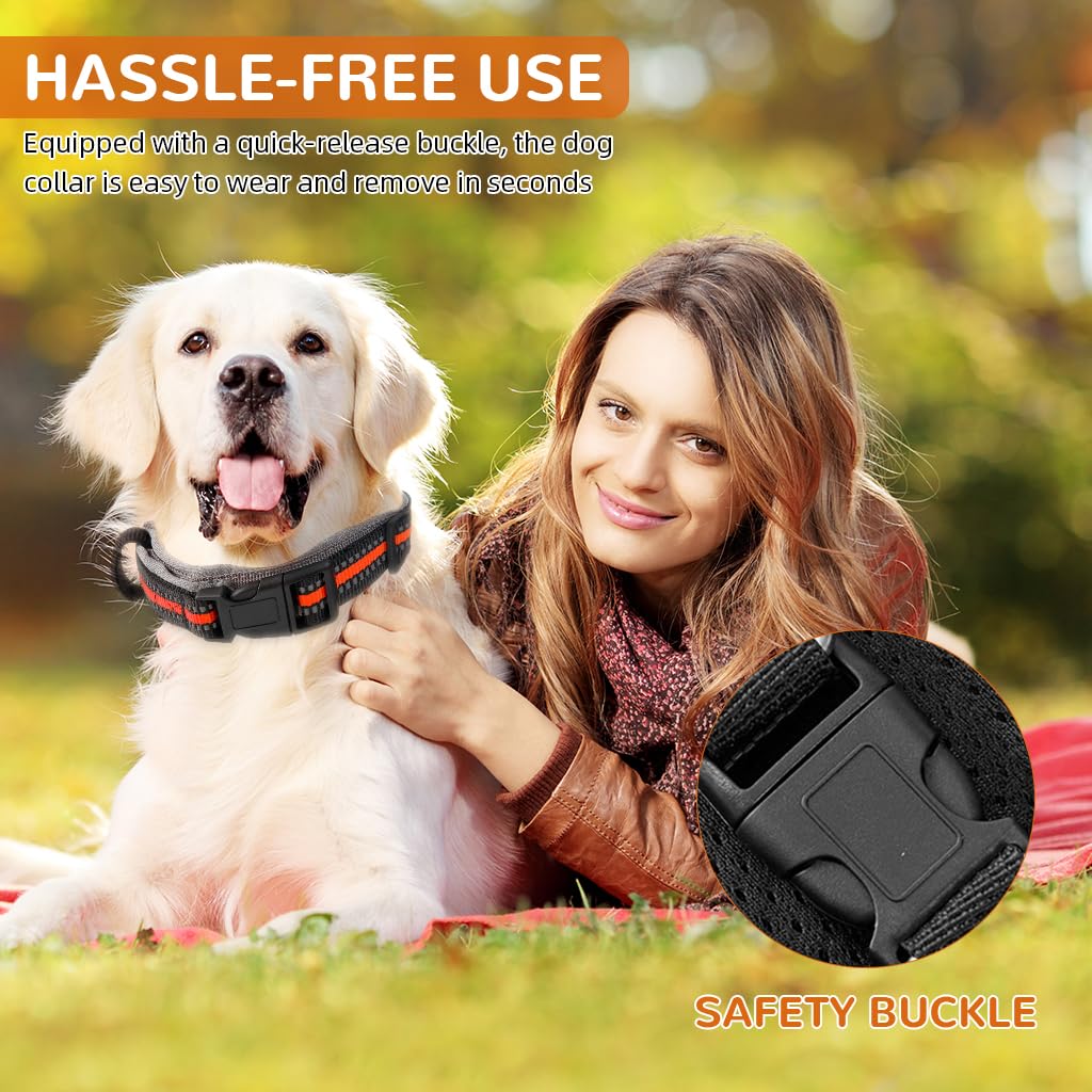 Qpets Dog Collar for Medium and Large Breeds with 1.5 m Leash featuring Retractable Pull Handle | Reflective Safety Design