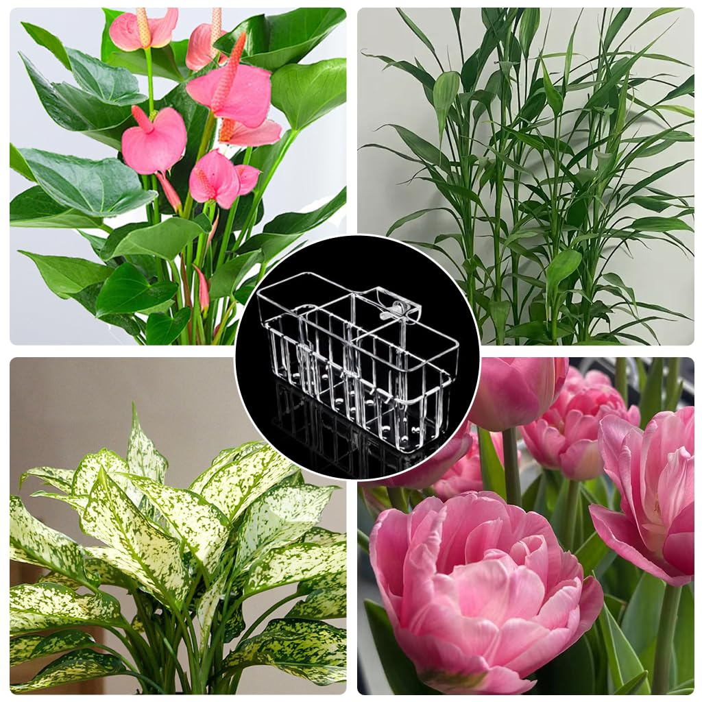 Qpets Betta Fish Hiding Cave for Resting and Spawning with 3 in Clear Acrylic Tunnel & Suction Cup