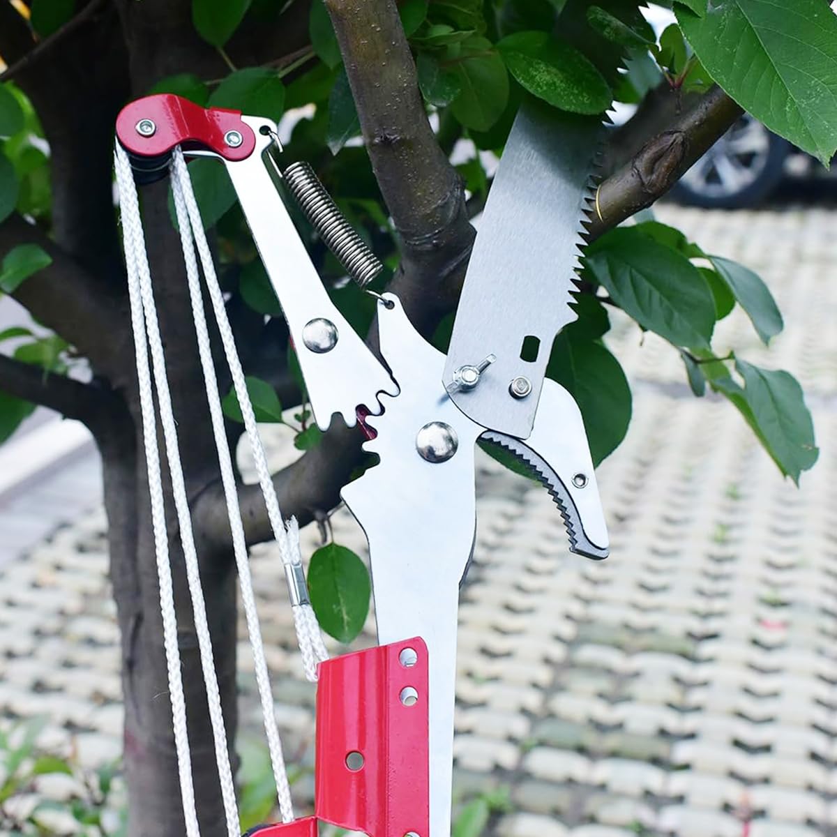Serplex Tree Pruner for High Branch Cutting with Cord-Controlled Bypass | SK5 Alloy Steel 3 PCS
