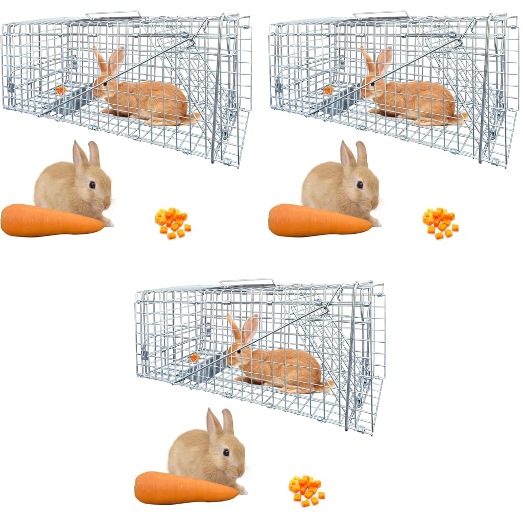 Proberos Live Animal Cage Trap for Humane Wildlife Capture 24x7x8 in with One Door | 3 PCS