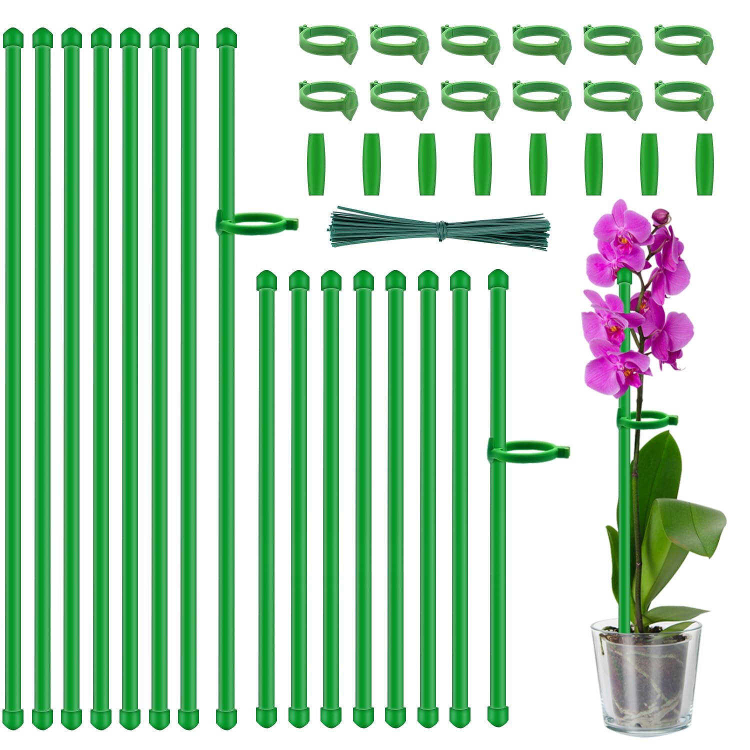 HASTHIP® Plant Stakes,18Inch & 11.8Inch Plant Support Stakes