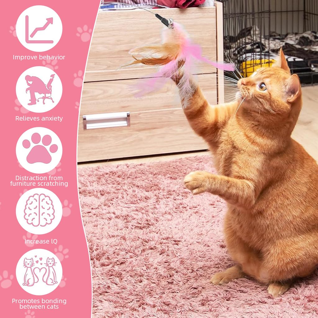 Qpets Cat Toys Feather Collar with 23cm Steel Wire Teasing Toy for Active Indoor Kittens