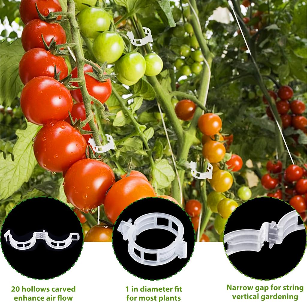 HASTHIP Plant Support Hooks Kit for Tomato Vines with Twine and Ring Clamps | 30 Pcs Metal Set