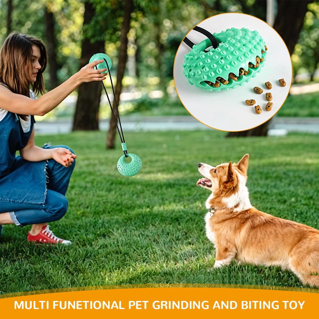 Qpets Dog Chew Toy for Self Play with Strong Suction Cup and TPR Tear Resistant Ball | Promotes Dental Health