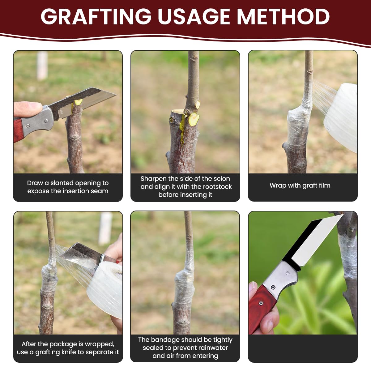 HASTHIP Grafting Cutter for Gardening with Anti Slip Wooden Handle and Stainless Steel Blade | Portable Pocket Design