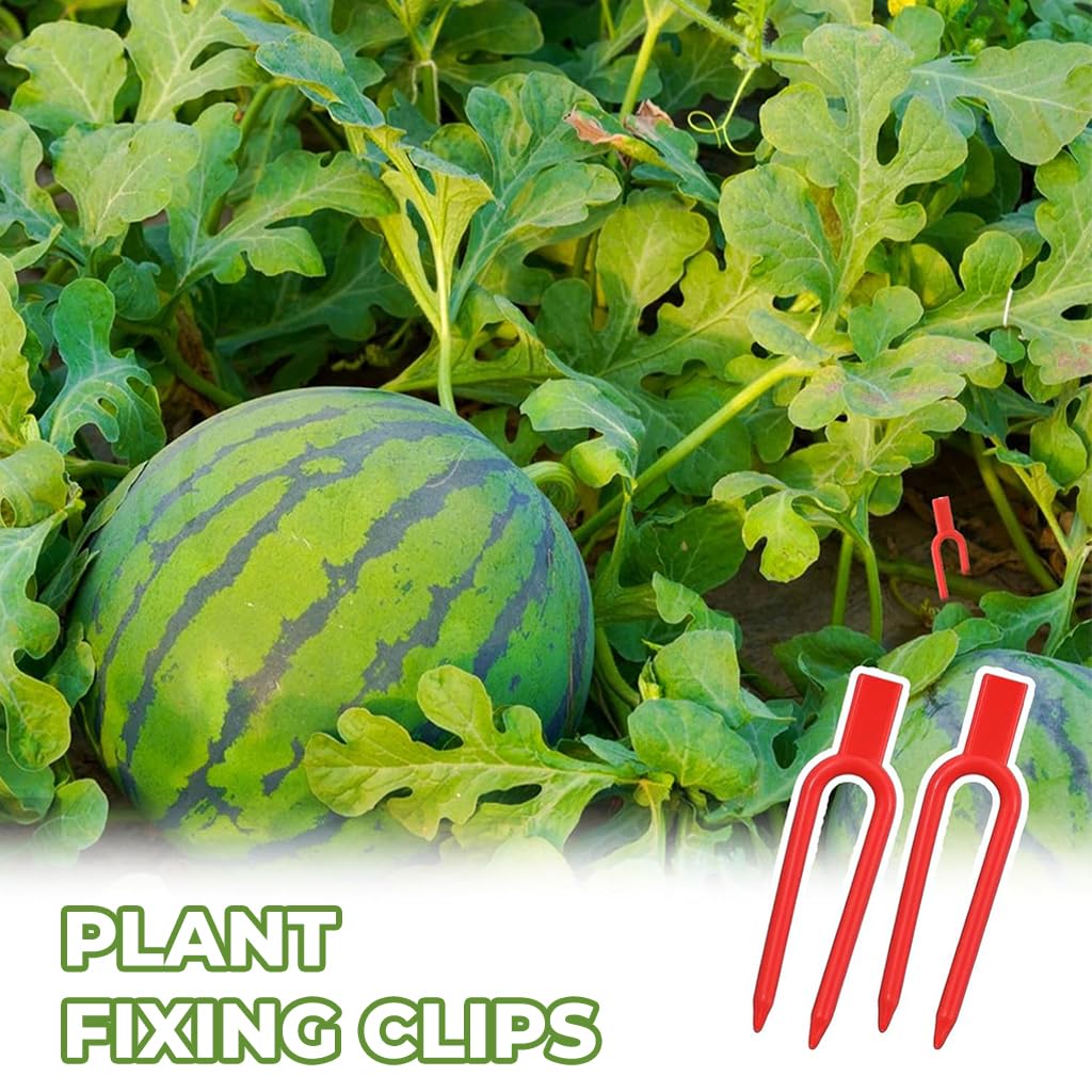HASTHIP Plant Training Forks for Bonsai Tomato and Vine Support 100 Pcs 2 Inch Red Set