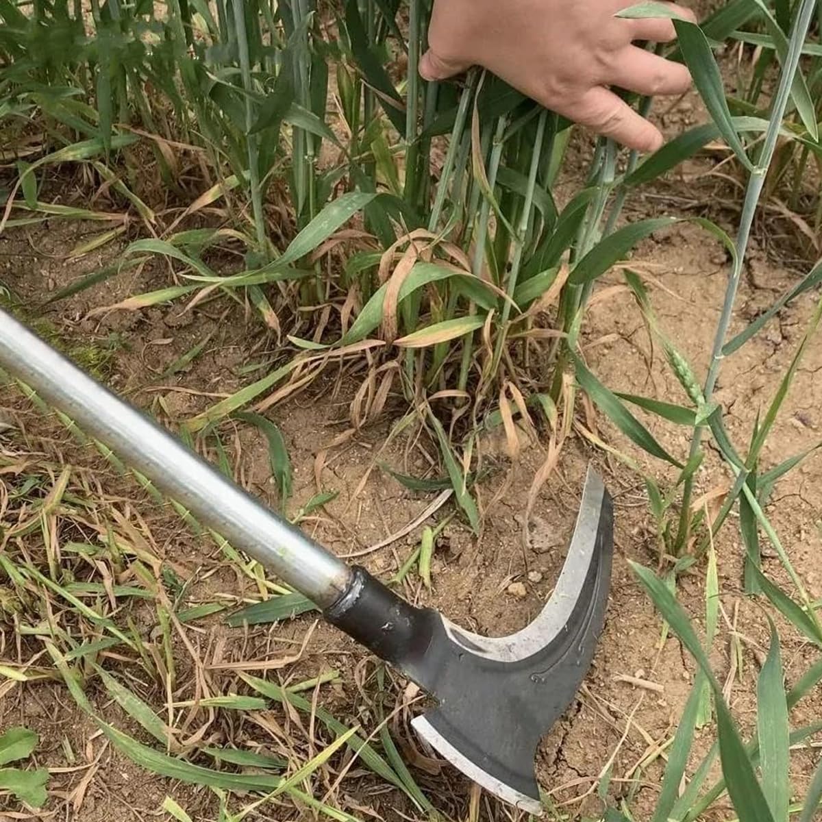 HASTHIP Grass Removing Tool for Gardening with 2 in 1 Axe Design and 18 in Handle | Manganese Steel