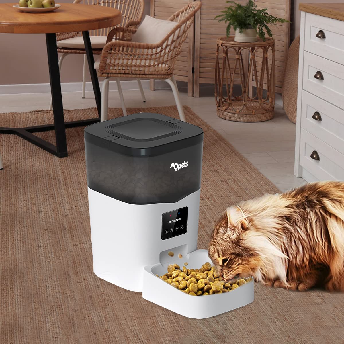Qpets Automatic Pet Feeder with WiFi App Control and Portion Timer | 3L Plastic Dispenser