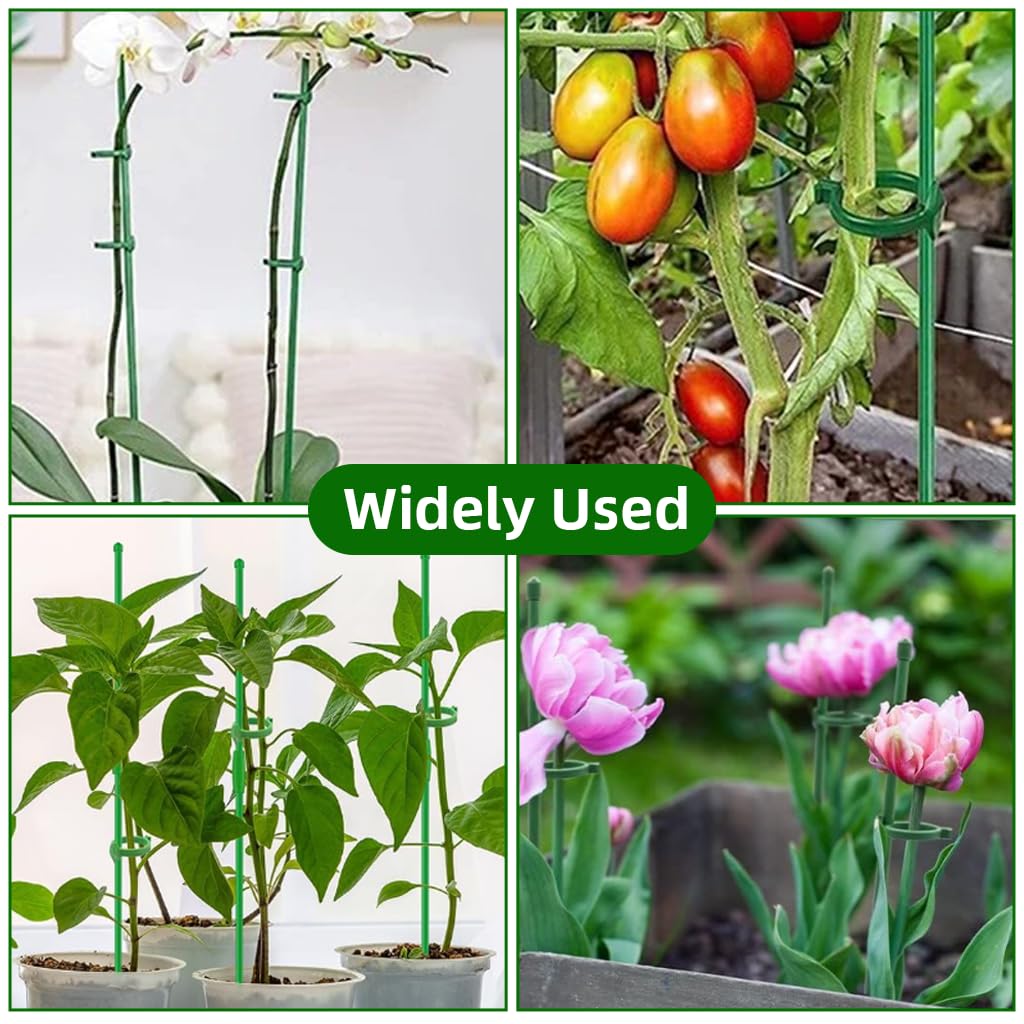 HASTHIP Plant Support Stakes Set for Tomato and Flowers with 60Pcs 45cm Rods | Reusable Glass Fiber Garden Poles