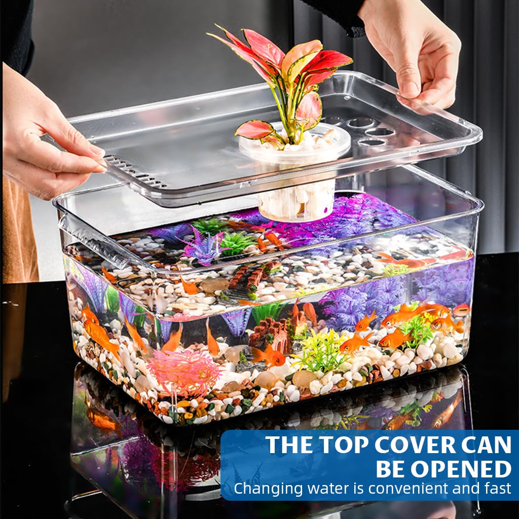 Qpets Desk Small Fish Tank for Home Office with 35x24cm Design and Air Ventilation Lid | Clear PP Betta Aquarium featuring Built in Hydroponic Basket