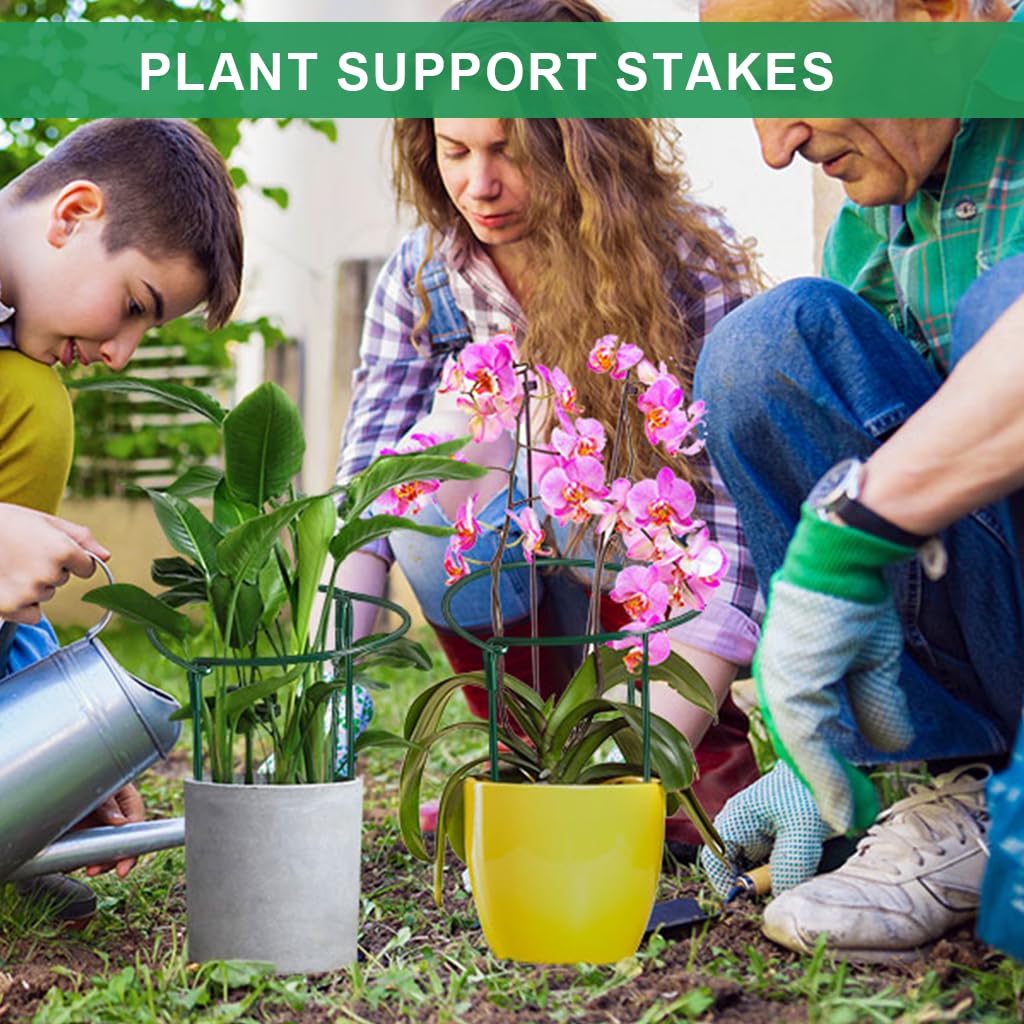 HASTHIP Plant Support Stakes for Planters with Half Open Top Frame | 20cm Dia x 35cm High