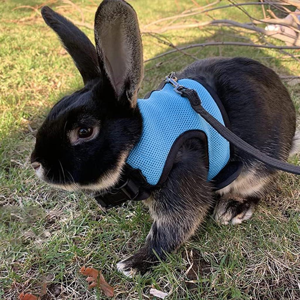 Optifit® Rabbit Harness with Leash Breathable Mesh Harness for Bunny 3.5lbs-6lbs Adjustable Small Pets Harness for Rabbit, Guinea Pigs, Chinchillas (XL, Blue)